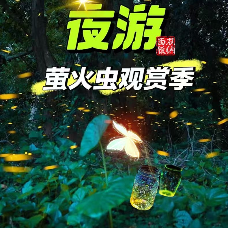 南药园也有萤火虫观赏季 市区15分钟即达 · 萤火虫之夜